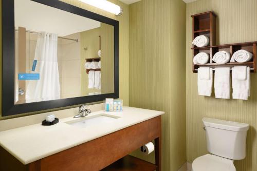 Kimball金博尔汉普顿酒店的一间带水槽、卫生间和镜子的浴室