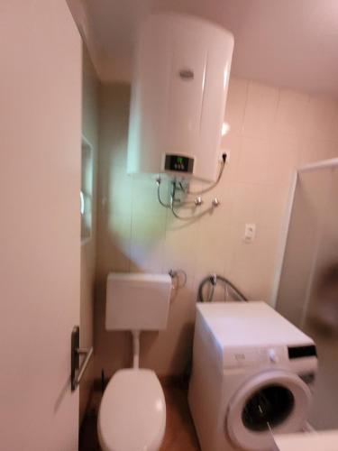 MislinjaHIŠKA SILVA的一间带卫生间和水槽的小浴室