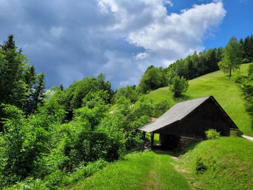 MislinjaHIŠKA SILVA的一座树木茂密的绿色山丘上的古老谷仓