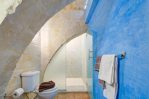 瓦莱塔Valletta Waterfront Villa with Pool and Jacuzzi的浴室设有白色卫生间和蓝色的墙壁。