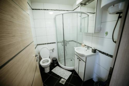 弗尔尼亚奇卡矿泉镇Apartman Ksenija的浴室配有卫生间、淋浴和盥洗盆。