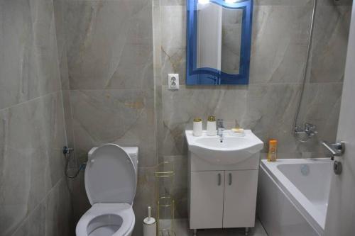 普洛耶什蒂Real Residence -apartament cu 3 camere- Valeni 144的一间带卫生间、水槽和镜子的浴室
