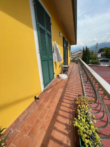 马里纳迪马萨Appartamento vicino al mare的站在黄色建筑一侧的鸟