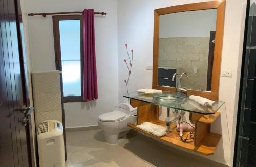 喀巴里特OKAINA 2的一间带水槽、卫生间和镜子的浴室
