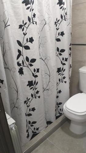 拉法尔达Electra的一间带卫生间和淋浴帘的浴室