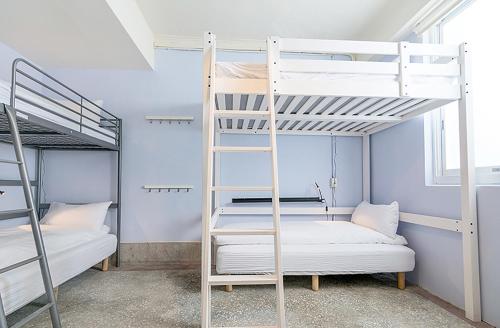 台北Happy Taipei Hostel - Share House - Monthly的一间卧室设有两张双层床和梯子