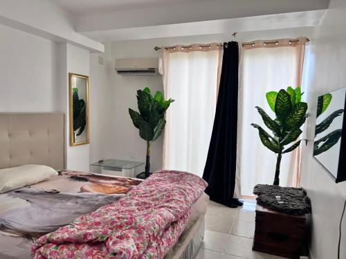 PampatarBel appartement sur l'île de Margarita, avec vue sur la mer的一间卧室配有一张床和两盆植物