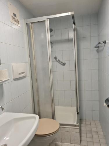 Sieber祖姆山口酒店的带淋浴、卫生间和盥洗盆的浴室