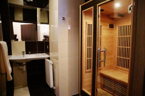 克拉科夫中心商务酒店的一间带水槽和淋浴的小浴室