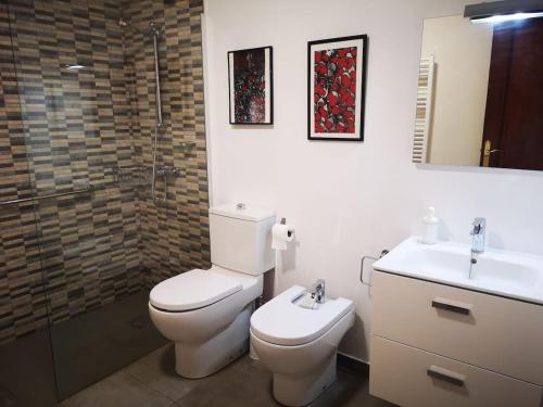 特伦普Cal Boix Apartamento的浴室配有卫生间、盥洗盆和淋浴。