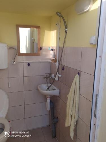 皮罗特Kamp sv.Jovan的一间带水槽、卫生间和镜子的浴室