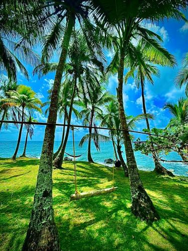 玉米岛Coral View Hostel的海滩上一团棕榈树和秋千