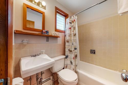 AltonKing Birch Lake Home, Unit 6的浴室配有盥洗盆、卫生间和浴缸。