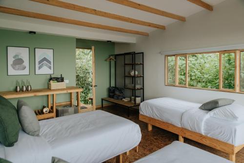 ZipacónHotel La Palma y El Tucán的配有两张床铺的绿色墙壁和窗户