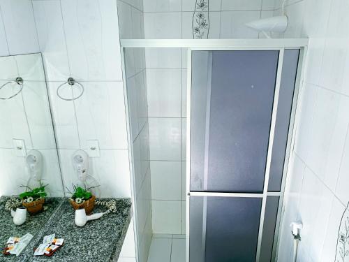 马瑙斯拉戈马瑙斯酒店的带淋浴的浴室和植物台面