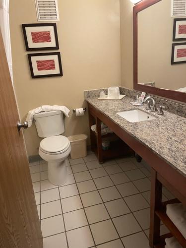 埃伦斯堡Comfort Inn Ellensburg的一间带卫生间、水槽和镜子的浴室