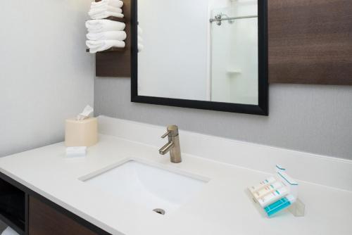 巴吞鲁日巴顿鲁日机场希尔顿花园酒店的浴室设有白色水槽和镜子