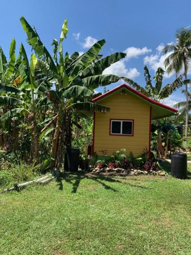 OracabessaGreen Queendom Farm and Lodging的棕榈树庭院中的一个小黄色房子