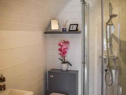 威廉堡Black Grouse - Ukc6790的带淋浴和花瓶的浴室