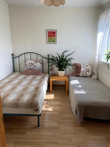 里加Waterfront in peaceful Bulli的一间卧室设有两张床和盆栽植物
