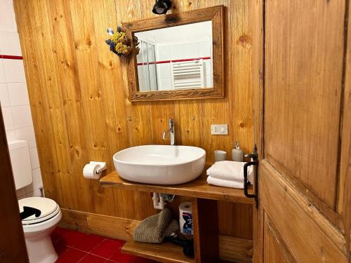 库马约尔Chalet Meyen - Val Ferret的木制浴室设有水槽和镜子