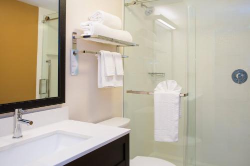 米德尔伯勒Fairfield by Marriott Inn & Suites Raynham Middleborough/Plymouth的浴室配有卫生间、盥洗盆和淋浴。