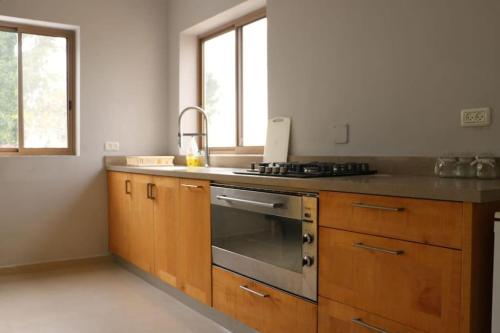 Kefar DaniyyelLahav Suite的厨房配有木制橱柜、水槽和炉灶。