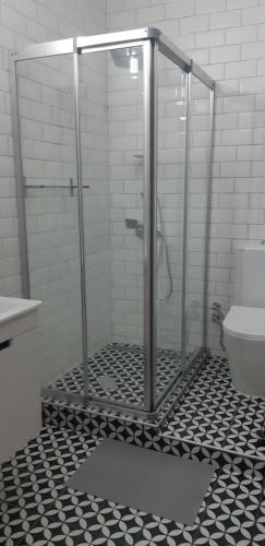 北尼科西亚Sabor Residence的一间带卫生间的浴室内的玻璃淋浴间