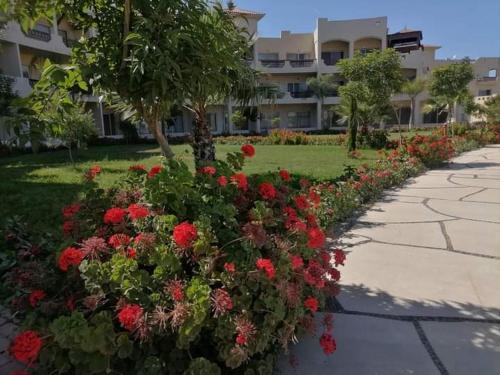 Al Ḩammādطريق الساحلي الدولي بلطيم的一座建筑前的红花花园