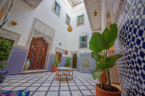 非斯Riad Rayhana的一间铺有蓝色和白色瓷砖的房间,一张桌子和一座植物