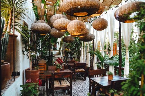 马拉喀什La Ferme Medina的充满了盆栽植物和灯具的房间