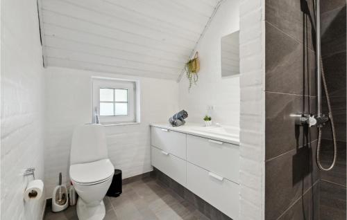 Øby乌尔夫堡巴比维十号度假屋的一间带卫生间和水槽的浴室
