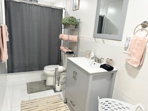 克里斯琴斯特德New! Bluestone Getaway in Christiansted USVI !的浴室配有卫生间、盥洗盆和淋浴。
