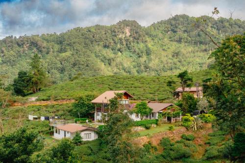 奥希亚Hill Safari - Tea Estate Villa的山前山丘上的房屋