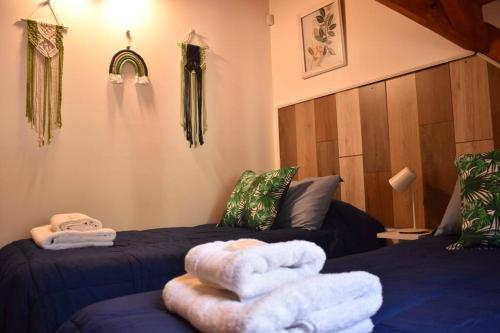 圣卡洛斯-德巴里洛切Amutuy Bariloche的一间设有两张床铺和毛巾的房间