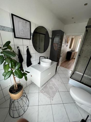 吕贝克Ein Haus für sich的浴室设有水槽、镜子和植物