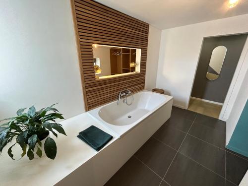 斯图蒙La villa du Tilleul的一间带水槽和盆栽植物的浴室