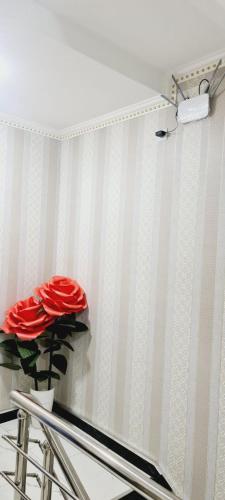 Andizhansheykh hotel的一间在条纹墙上装饰着红玫瑰的房间