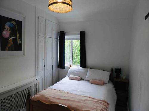 基尔肯尼Ballybur Cottage的一间小卧室,配有一张带窗户的床