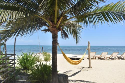 San OnofrePalenque Beach House的海滩上棕榈树上的吊床