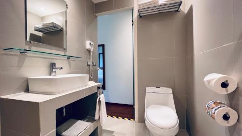 墨西哥城Hotel Ritz Ciudad de México的白色的浴室设有水槽和卫生间。