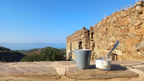 VolissosLemon's Cottage House, Volissos, Chios的坐在树 ⁇ 上的杯子和勺子
