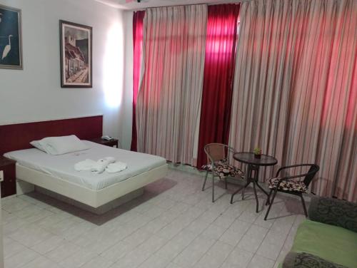 巴西利亚Hotel Canal Hum的卧室配有一张床和一张桌子及椅子