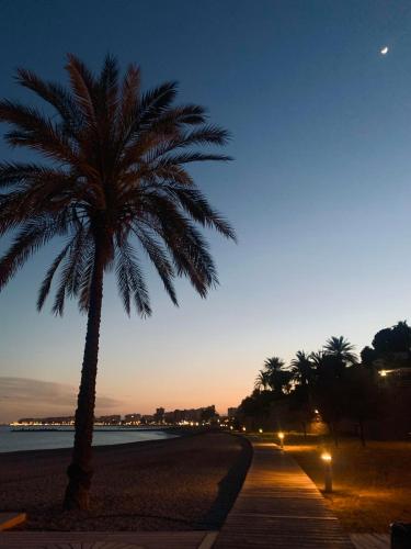 贝尼卡西姆Apartamento Benicàssim Sunset Calm&Views的海滩上的棕榈树