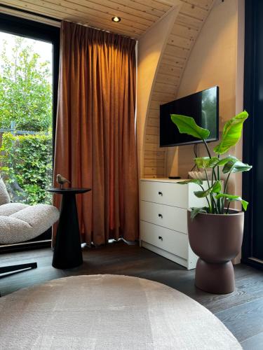 贝茨泰兹瓦赫Bijzonder Lekker overnachten的一间带电视和植物的客厅