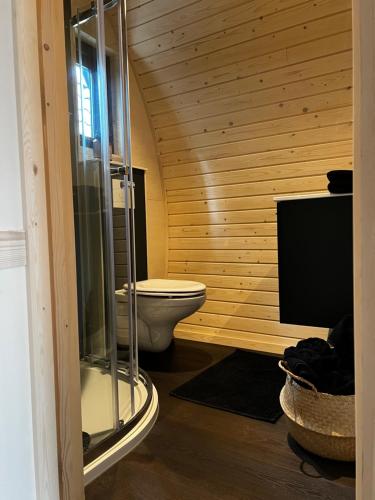 贝茨泰兹瓦赫Bijzonder Lekker overnachten的一间带卫生间和玻璃淋浴间的浴室
