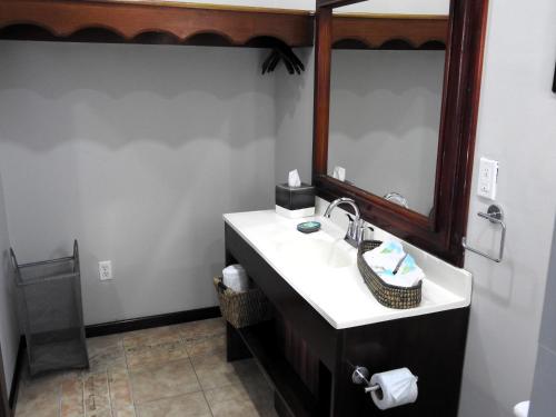 IndependenceThe Toucan Inn的一间带水槽和镜子的浴室
