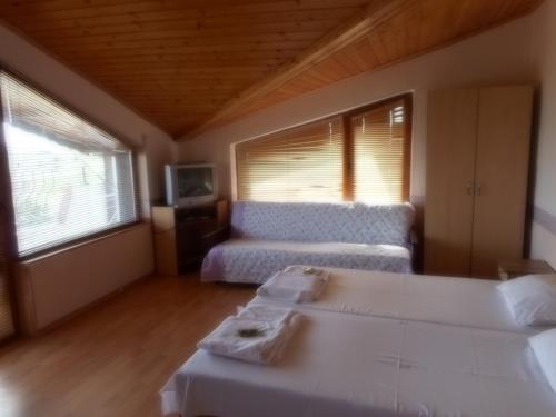 沙布拉Guest Rooms Ribarska Hizha的客厅配有床和沙发