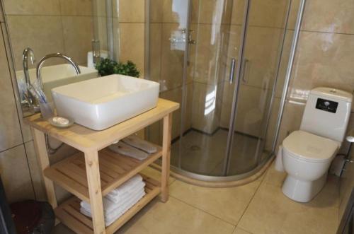 高尼奥Super Lux Apartment Mgzavrebi的一间带水槽、淋浴和卫生间的浴室