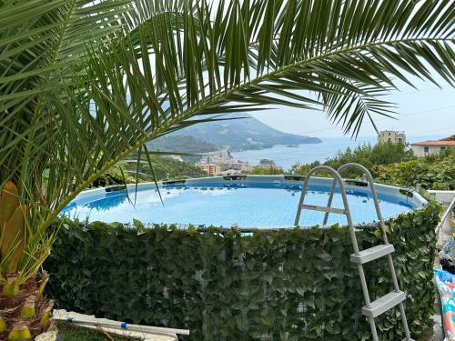贝西奇Apartman Marija的享有棕榈树游泳池的景色